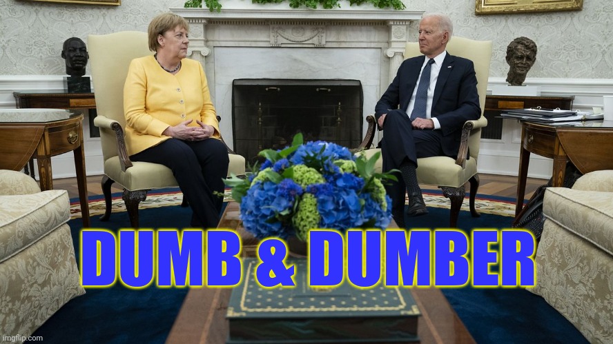A couple of morons. | DUMB & DUMBER | image tagged in memes | made w/ Imgflip meme maker