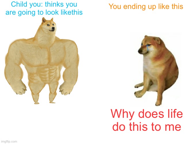 Your never right | Child you: thinks you are going to look like this; You ending up like this; Why does life do this to me | image tagged in memes,buff doge vs cheems | made w/ Imgflip meme maker