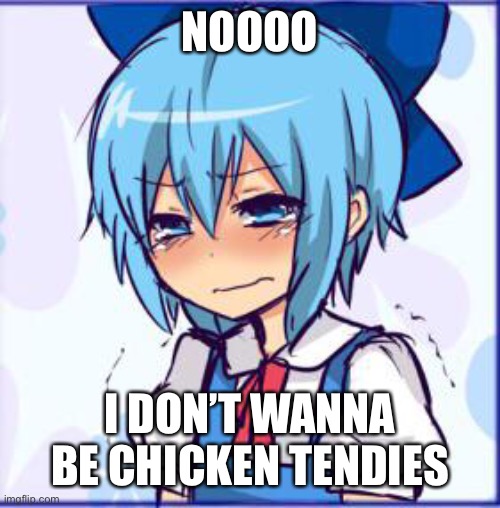 NOOOO; I DON’T WANNA BE CHICKEN TENDIES | made w/ Imgflip meme maker