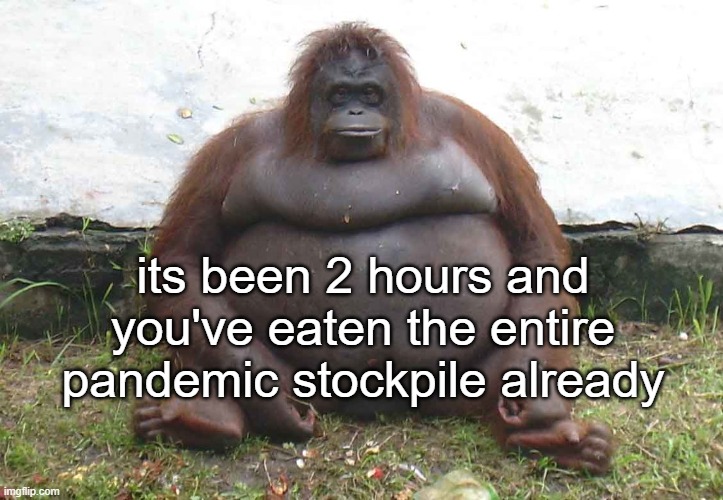 its been 2 hours and you've eaten the entire pandemic stockpile already | made w/ Imgflip meme maker