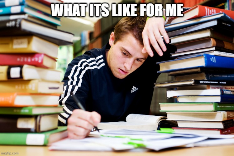 Studying | WHAT ITS LIKE FOR ME | image tagged in studying | made w/ Imgflip meme maker