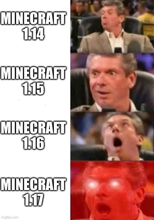 Minecraft updates | MINECRAFT 1.14; MINECRAFT 1.15; MINECRAFT 1.16; MINECRAFT 1.17 | image tagged in mr mcmahon reaction | made w/ Imgflip meme maker
