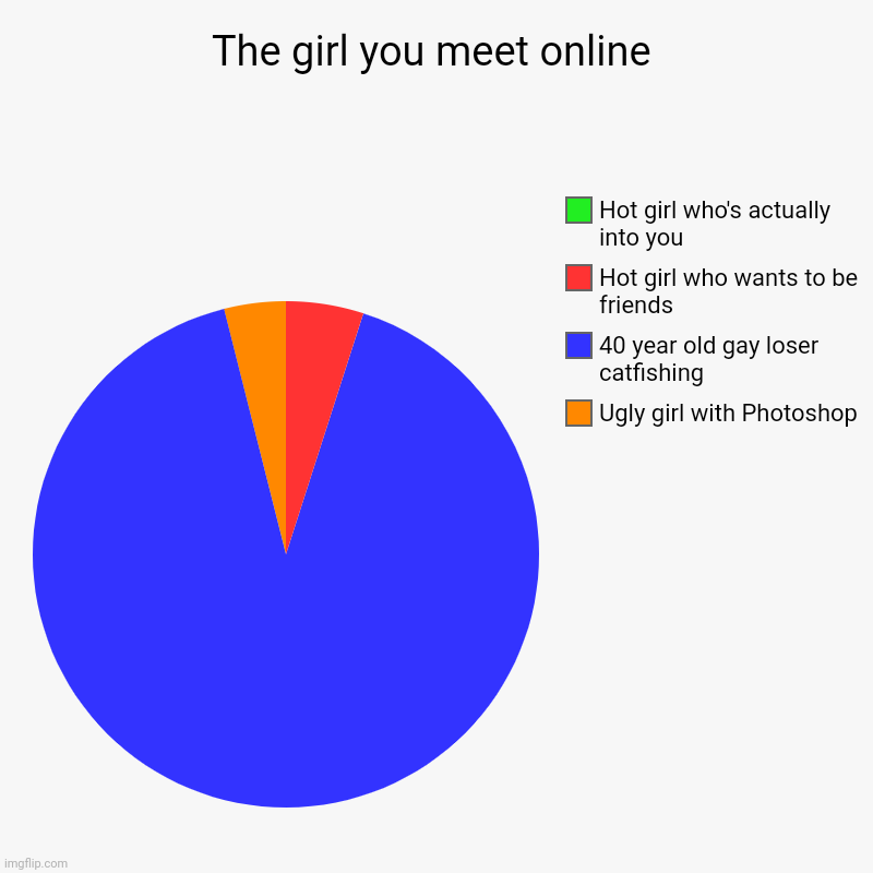 The girl you meet online | Ugly girl with Photoshop, 40 year old gay loser catfishing, Hot girl who wants to be friends, Hot girl who's actu | image tagged in charts,pie charts | made w/ Imgflip chart maker