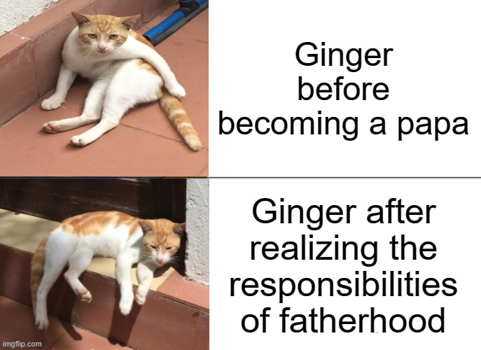 Fatherhood | Ginger before becoming a papa; Ginger after realizing the responsibilities of fatherhood | image tagged in memes | made w/ Imgflip meme maker