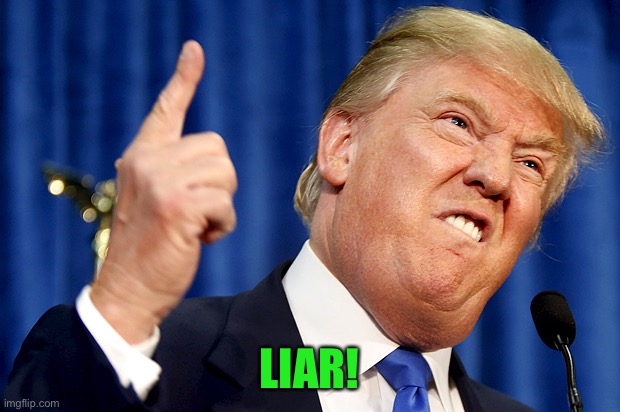 Donald Trump | LIAR! | image tagged in donald trump | made w/ Imgflip meme maker