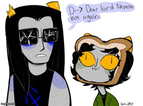 Not again, Nepeta | image tagged in homestuck | made w/ Imgflip meme maker