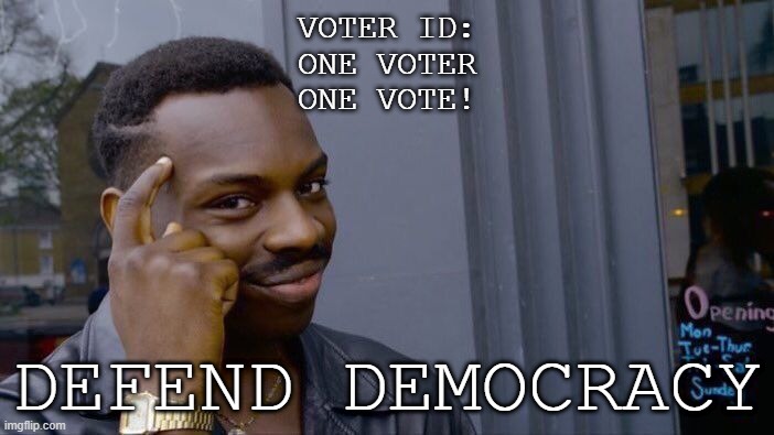 Saving Democracy | VOTER ID:
ONE VOTER
ONE VOTE! DEFEND DEMOCRACY | image tagged in memes,roll safe think about it | made w/ Imgflip meme maker