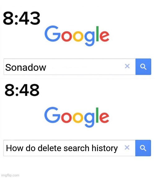 Ugh... Disgusting... | Sonadow; How do delete search history | image tagged in google before after,sonic the hedgehog,shadow the hedgehog,shipping | made w/ Imgflip meme maker