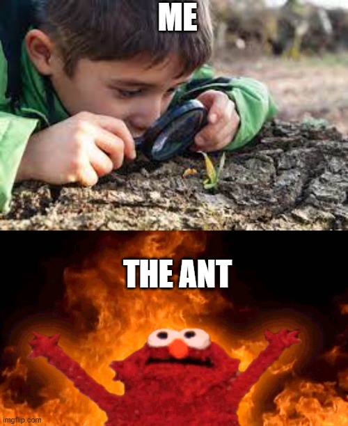 Tell me I was not the only kid who did this. | ME; THE ANT | image tagged in elmo fire | made w/ Imgflip meme maker