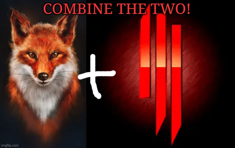 Draw art by both of them | COMBINE THE TWO! | image tagged in art,fox,skrillex | made w/ Imgflip meme maker