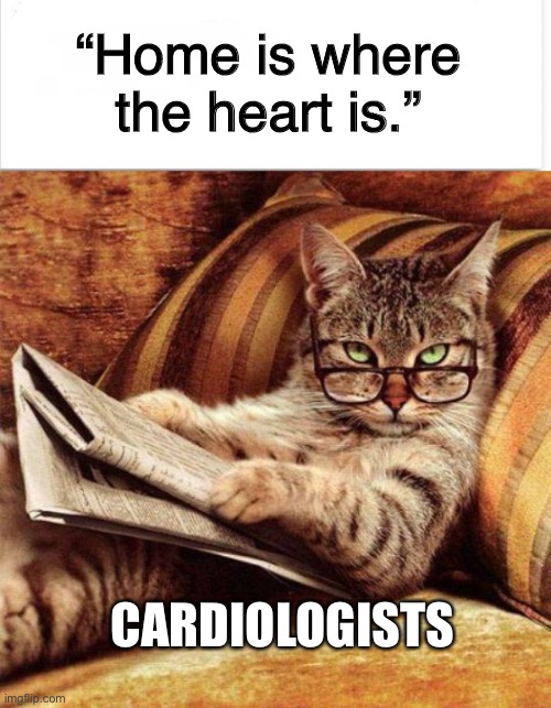 Octopi probably have it hard too |  “Home is where the heart is.”; CARDIOLOGISTS | image tagged in smart cat,heart,cardiology,home is where the heart is,sayings | made w/ Imgflip meme maker