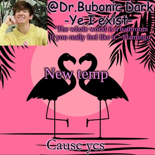 Another Flamingo temp :) | New temp; Cause yes | image tagged in another flamingo temp | made w/ Imgflip meme maker