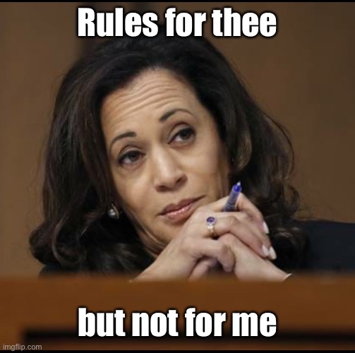 Kamala Harris  | Rules for thee but not for me | image tagged in kamala harris | made w/ Imgflip meme maker