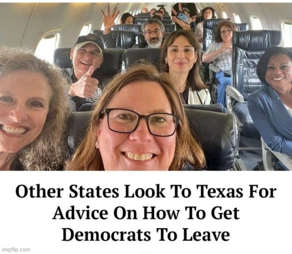 image tagged in idiots on a plane,demoncrats | made w/ Imgflip meme maker