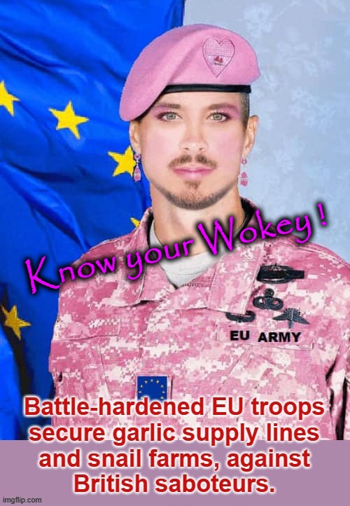 EU Army |  Know your Wokey ! | image tagged in pinkie pie | made w/ Imgflip meme maker