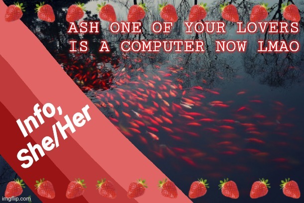 ASH ONE OF YOUR LOVERS
IS A COMPUTER NOW LMAO | image tagged in info | made w/ Imgflip meme maker