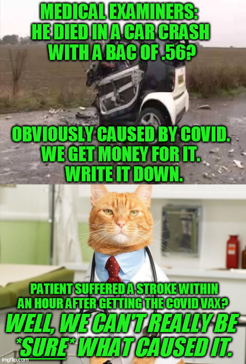 History - and karma - will not be kind to the corrupt quacks who collaborated with - participated in - the lies | MEDICAL EXAMINERS:  
HE DIED IN A CAR CRASH 
WITH A BAC OF .56? OBVIOUSLY CAUSED BY COVID.  
WE GET MONEY FOR IT.  
WRITE IT DOWN. PATIENT SUFFERED A STROKE WITHIN AN HOUR AFTER GETTING THE COVID VAX? WELL, WE CAN'T REALLY BE 
*SURE* WHAT CAUSED IT. ____ | image tagged in smart car crash,cat doctor,covid-19,global pandemic,coronavirus,medical fraud | made w/ Imgflip meme maker