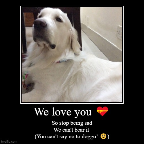 We love you ? | So stop being sad
We can't bear it 
(You can't say no to doggo! ?) | image tagged in funny,demotivationals | made w/ Imgflip demotivational maker