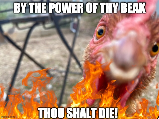 BY THE POWER OF THY BEAK; THOU SHALT DIE! | image tagged in memes | made w/ Imgflip meme maker