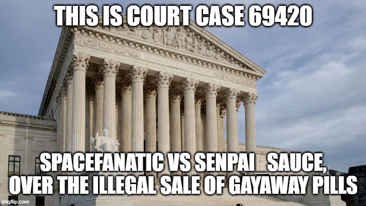 supreme court | THIS IS COURT CASE 69420; SPACEFANATIC VS SENPAI_SAUCE, OVER THE ILLEGAL SALE OF GAYAWAY PILLS | image tagged in supreme court | made w/ Imgflip meme maker