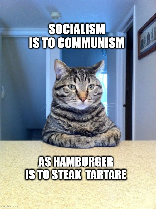 Take A Seat Cat |  SOCIALISM IS TO COMMUNISM; AS HAMBURGER IS TO STEAK  TARTARE | image tagged in memes,take a seat cat | made w/ Imgflip meme maker