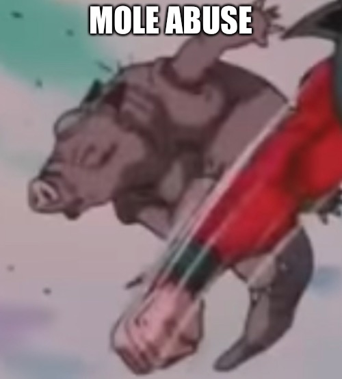 There’s no more evidence though, as the bébé got obliterated into nothingness. | MOLE ABUSE | made w/ Imgflip meme maker