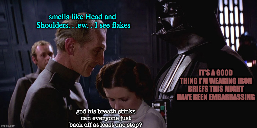 read their minds | smells like Head and 
Shoulders. . .ew. . I see flakes; IT'S A GOOD THING I'M WEARING IRON BRIEFS THIS MIGHT HAVE BEEN EMBARRASSING; god his breath stinks can everyone just back off at least one step? | image tagged in deathstar,tarkinleahvader | made w/ Imgflip meme maker
