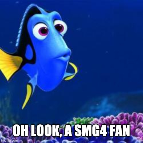 oh look | OH LOOK, A SMG4 FAN | image tagged in oh look | made w/ Imgflip meme maker