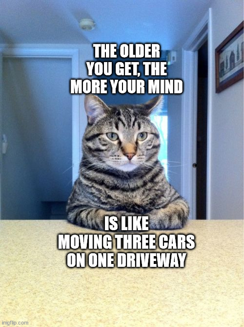Take A Seat Cat | THE OLDER YOU GET, THE MORE YOUR MIND; IS LIKE MOVING THREE CARS ON ONE DRIVEWAY | image tagged in memes,take a seat cat | made w/ Imgflip meme maker