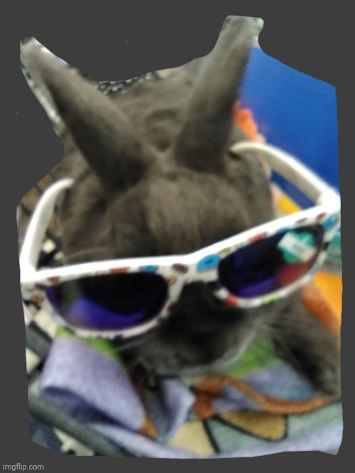 Hoppy again | made w/ Imgflip meme maker