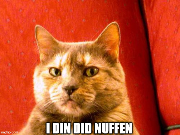 Suspicious Cat | I DIN DID NUFFEN | image tagged in memes,suspicious cat | made w/ Imgflip meme maker