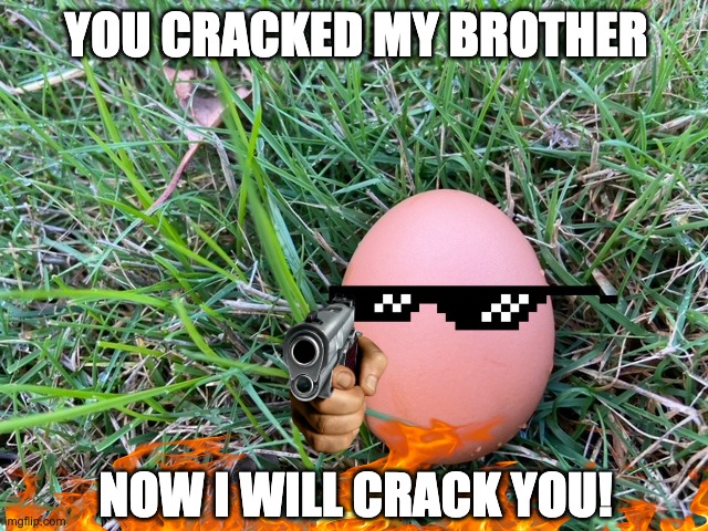 REVENGE!!! | YOU CRACKED MY BROTHER; NOW I WILL CRACK YOU! | image tagged in memes | made w/ Imgflip meme maker