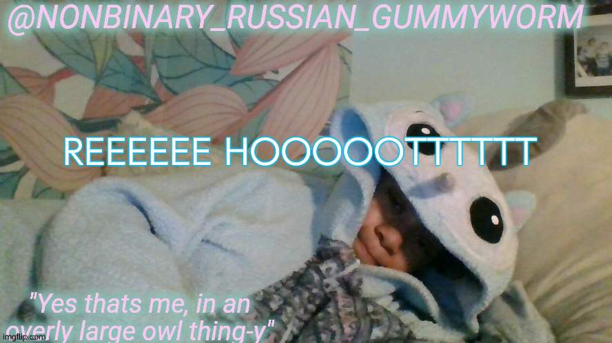 hoot-hooty | REEEEEE HOOOOOTTTTTT | image tagged in gummyworm's overly large owl thingy temp | made w/ Imgflip meme maker