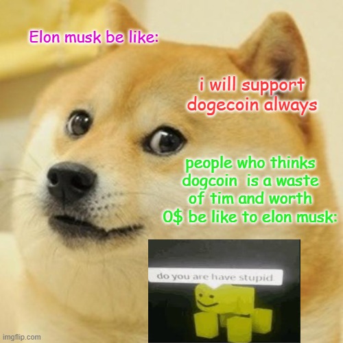 idk what to say in this title lol | Elon musk be like:; i will support dogecoin always; people who thinks dogcoin  is a waste of tim and worth 0$ be like to elon musk: | image tagged in meme,dogecoin,doge,elon musk,do you are have stupid | made w/ Imgflip meme maker