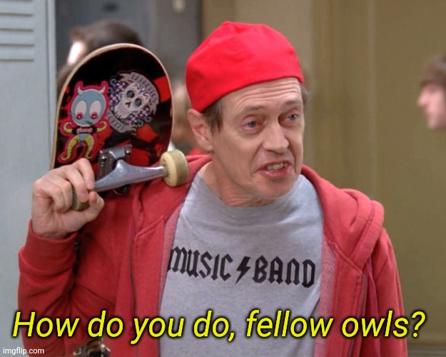 Steve Buscemi Fellow Kids | How do you do, fellow owls? | image tagged in steve buscemi fellow kids | made w/ Imgflip meme maker