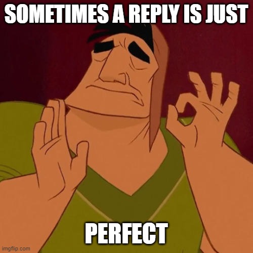 When X just right | SOMETIMES A REPLY IS JUST PERFECT | image tagged in when x just right | made w/ Imgflip meme maker