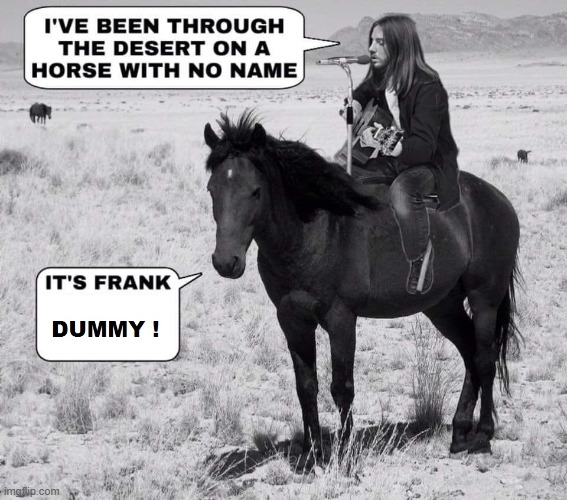 Horse with no name ! | image tagged in dummy | made w/ Imgflip meme maker