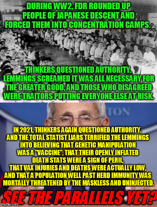 George Santayana:  "Those who do not remember the past are condemned to repeat it."  So just say no. | DURING WW2, FDR ROUNDED UP PEOPLE OF JAPANESE DESCENT AND FORCED THEM INTO CONCENTRATION CAMPS. THINKERS QUESTIONED AUTHORITY.  LEMMINGS SCREAMED IT WAS ALL NECESSARY FOR THE GREATER GOOD, AND THOSE WHO DISAGREED WERE TRAITORS PUTTING EVERYONE ELSE AT RISK. IN 2021, THINKERS AGAIN QUESTIONED AUTHORITY.  
AND THE TOTAL STATIST LIARS TERRIFIED THE LEMMINGS 
INTO BELIEVING THAT GENETIC MANIPULATION 
WAS A "VACCINE", THAT THEIR OPENLY INFLATED 
DEATH STATS WERE A SIGN OF PERIL, 
THAT VAX INJURIES AND DEATHS WERE ACTUALLY LOW, 
AND THAT A POPULATION WELL PAST HERD IMMUNITY WAS 
MORTALLY THREATENED BY THE MASKLESS AND UNINJECTED. SEE THE PARALLELS YET? | image tagged in global pandemic,coronavirus,medical fraud,conspiracy,anthony fauci,covid-19 | made w/ Imgflip meme maker