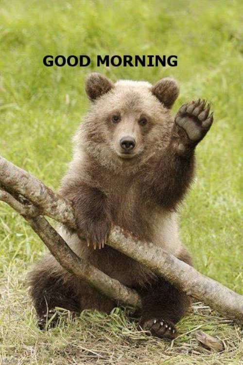 Good Morning | image tagged in good morning | made w/ Imgflip meme maker
