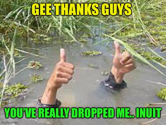 underWater | GEE THANKS GUYS YOU’VE REALLY DROPPED ME.. INUIT | image tagged in underwater | made w/ Imgflip meme maker