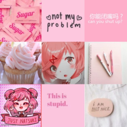 I made a Natsuki aesthetic :D | made w/ Imgflip meme maker