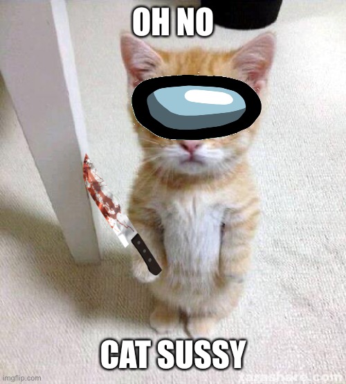 Suss | OH NO; CAT SUSSY | image tagged in memes,cute cat | made w/ Imgflip meme maker