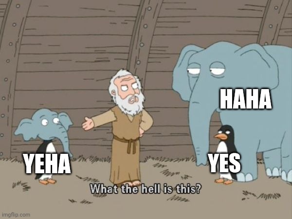 What the hell is this? | HAHA; YES; YEHA | image tagged in what the hell is this | made w/ Imgflip meme maker