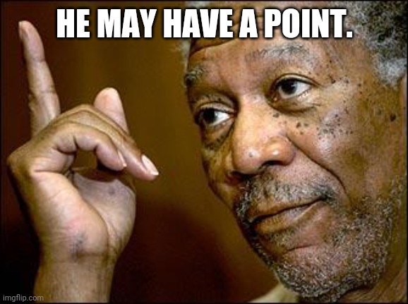 This Morgan Freeman | HE MAY HAVE A POINT. | image tagged in this morgan freeman | made w/ Imgflip meme maker