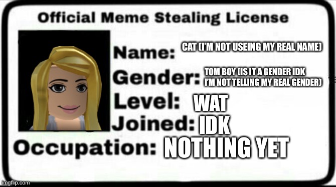 Haha idk what I’m doing | CAT (I’M NOT USEING MY REAL NAME); TOM BOY (IS IT A GENDER IDK I’M NOT TELLING MY REAL GENDER); WAT; IDK; NOTHING YET | image tagged in meme stealing license | made w/ Imgflip meme maker