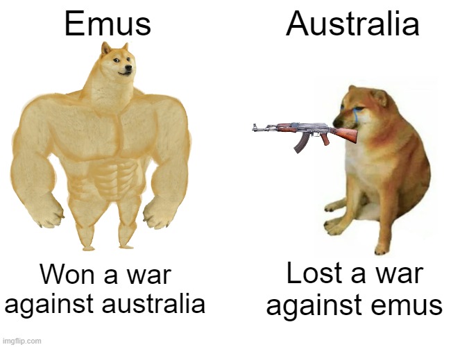 Buff Doge vs. Cheems Meme | Emus; Australia; Won a war against australia; Lost a war against emus | image tagged in memes,buff doge vs cheems | made w/ Imgflip meme maker