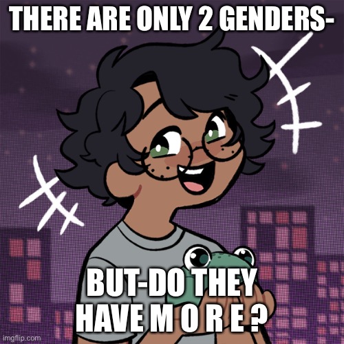 I’m confused- | THERE ARE ONLY 2 GENDERS-; BUT-DO THEY HAVE M O R E ? | image tagged in ram3n picrew | made w/ Imgflip meme maker