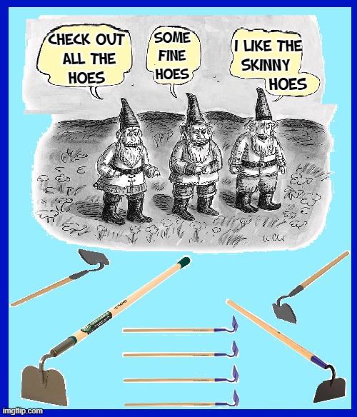 Garden Gnomes Really Appreciate Their Hoes! | SOME FINE HOES; CHECK OUT 
ALL THE
HOES; I LIKE THE
SKINNY; HOES | image tagged in vince vance,gardening,tools,hoes,gnomes,memes | made w/ Imgflip meme maker