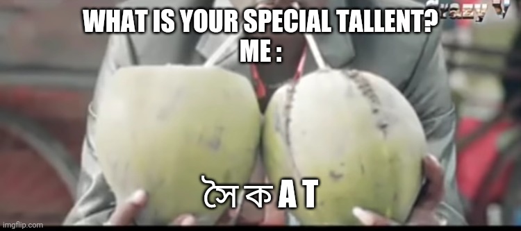 ডা ব | WHAT IS YOUR SPECIAL TALLENT?
ME :; সৈ ক A T | image tagged in funny memes | made w/ Imgflip meme maker