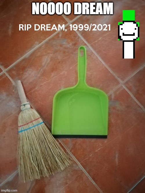 R.I.P Dream | NOOOO DREAM | image tagged in funny | made w/ Imgflip meme maker